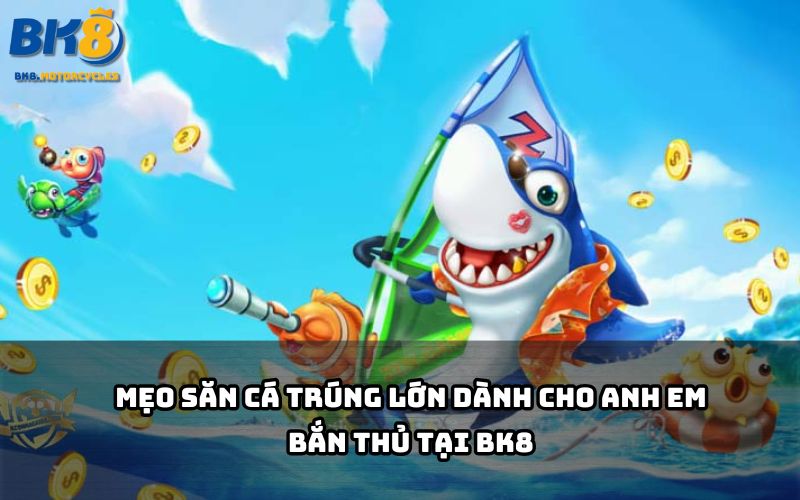 Bật mí mẹo chơi bắn cá BK8 giúp anh em dễ dàng săn Boss, gom thưởng cực khủng Bật mí mẹo chơi bắn cá BK8 giúp anh em dễ dàng săn Boss, gom thưởng cực khủng